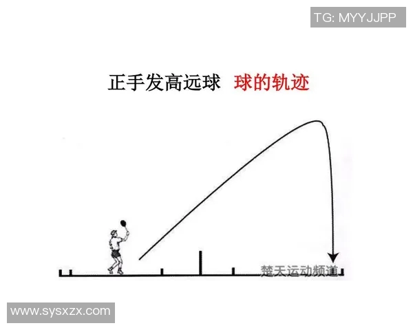 羽毛球战术解析:深入探讨上海羽毛球队的战术控制与执行体系 羽毛球战术解析:深入探讨上海羽毛球队的战术控制与执行体系