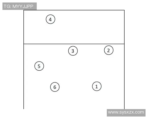 北京排球队在冠军赛中的灵活性表现与战术调整分析