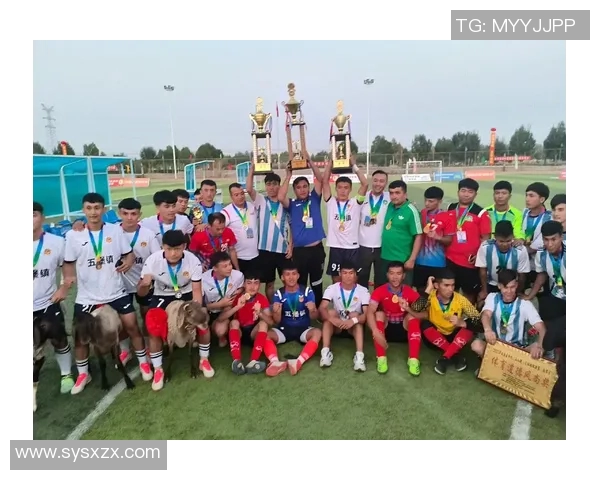 哈密足球明星阵容全解析及其职业生涯亮点详解 哈密足球明星阵容全解析及其职业生涯亮点详解