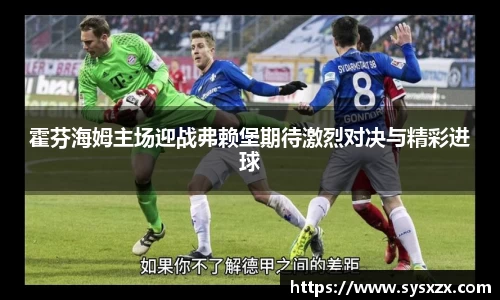霍芬海姆主场迎战弗赖堡期待激烈对决与精彩进球